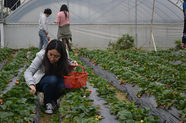 方大集團(tuán)舉辦三月員工生日活動