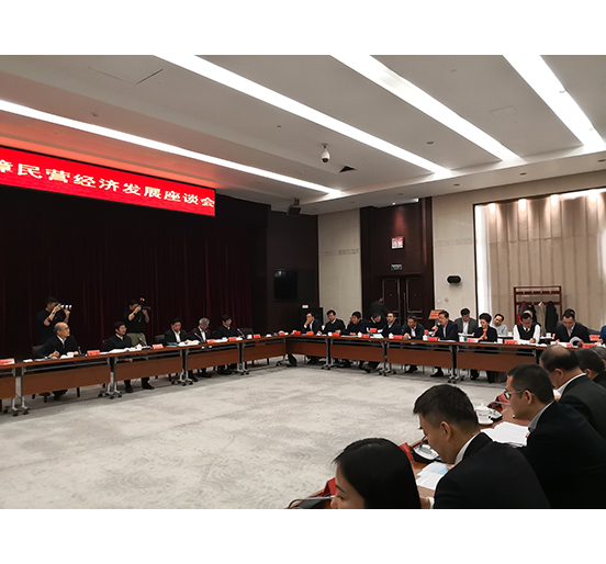 全國人大代表、方大集團(tuán)董事長熊建明參加檢察機(jī)關(guān)服務(wù)保障民營經(jīng)濟(jì)發(fā)展調(diào)研座談會